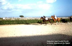 LA SENIA COURSES CHEVAUX2